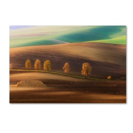 Piotr Krol 'Moravian Trees' Canvas Art,30x47